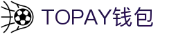 TOPAY钱包 - 安全便捷的个人财务管理工具